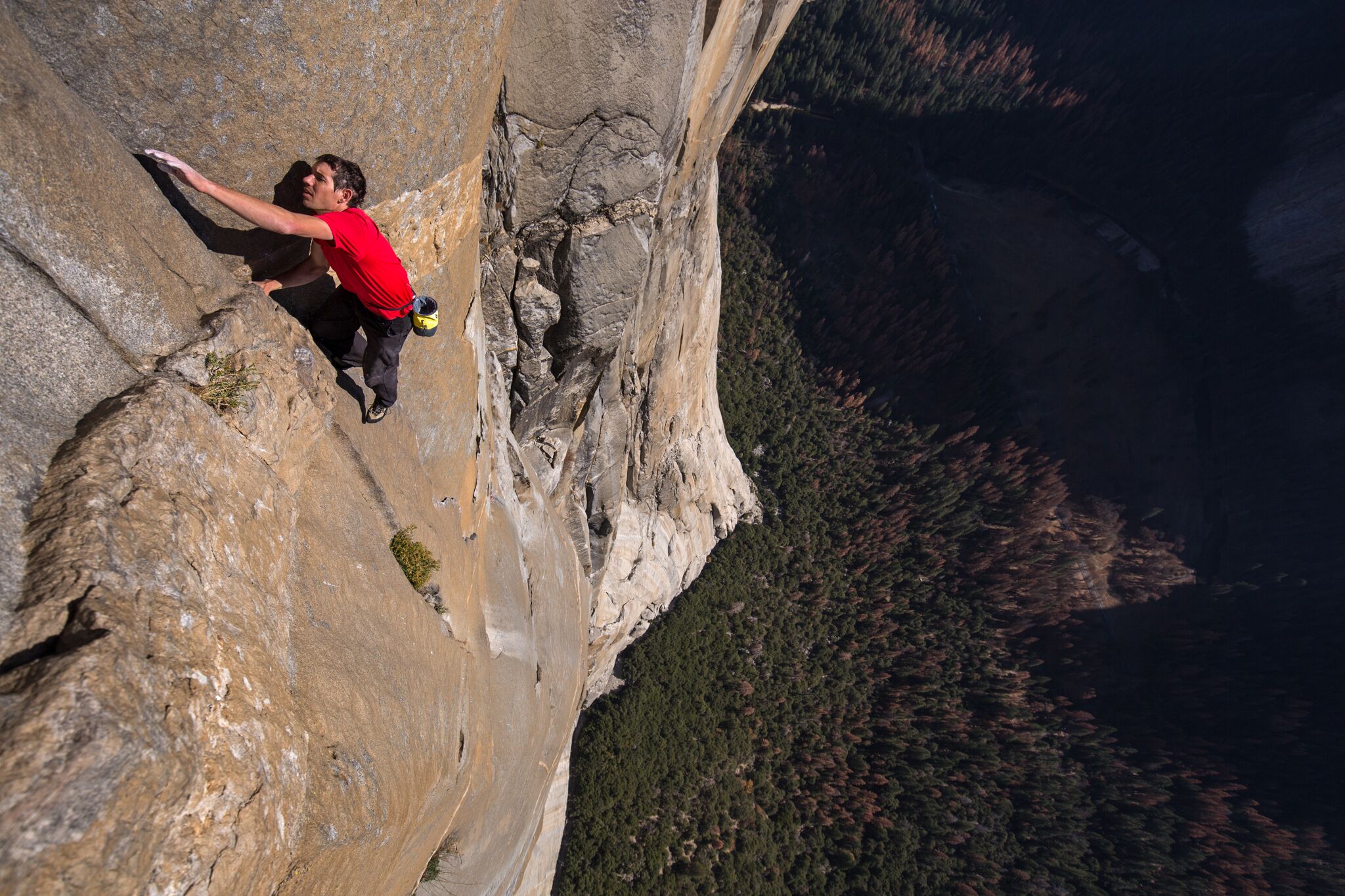 watch free solo online free