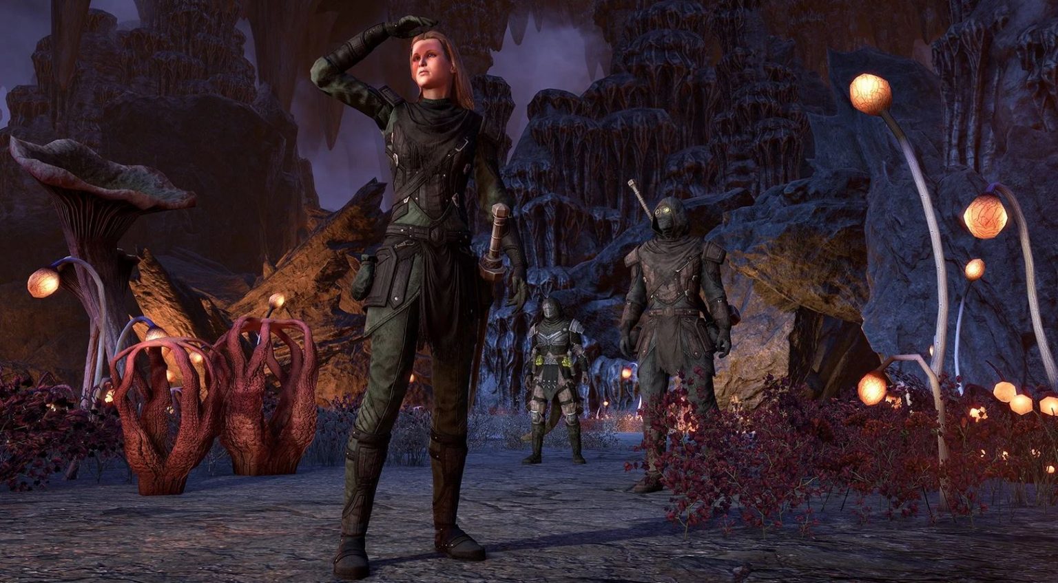 The elder scrolls online blackwood upgrade что входит в игру