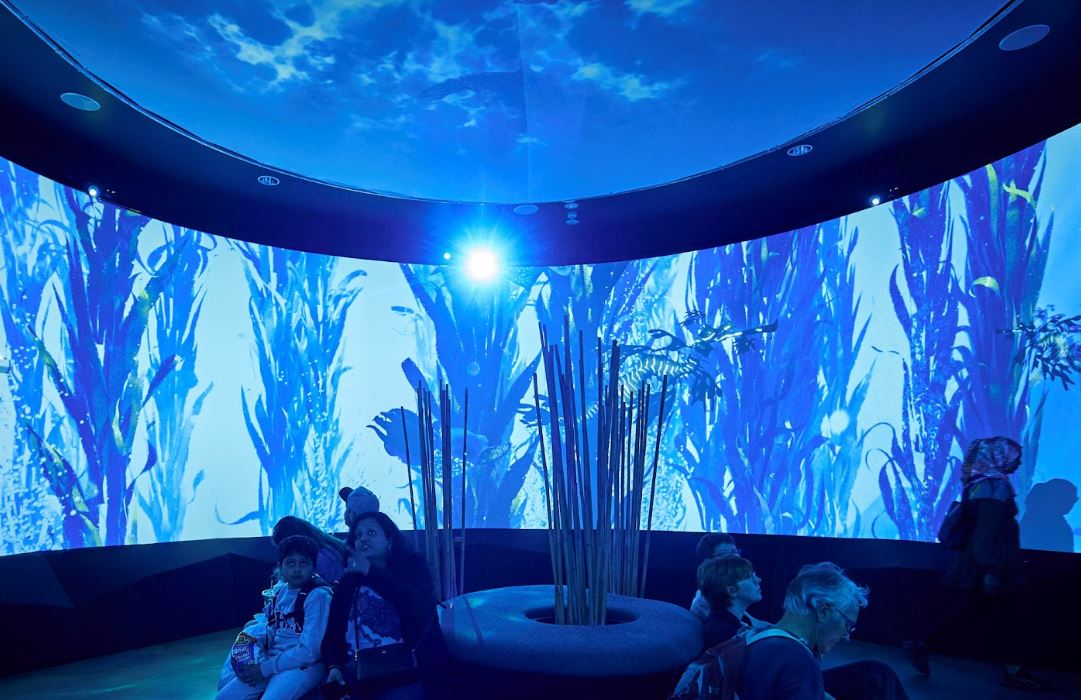 Now Open: Journey Through Living Light At Sea Life Melbourne Aquarium 