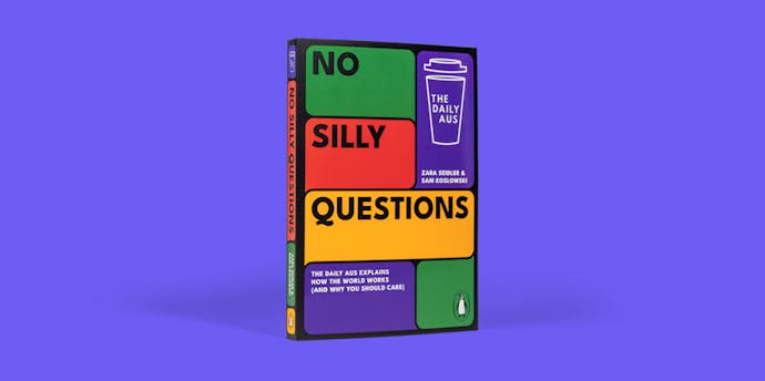 no silly questions book review