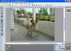 download microsoft digital image pro 10 free